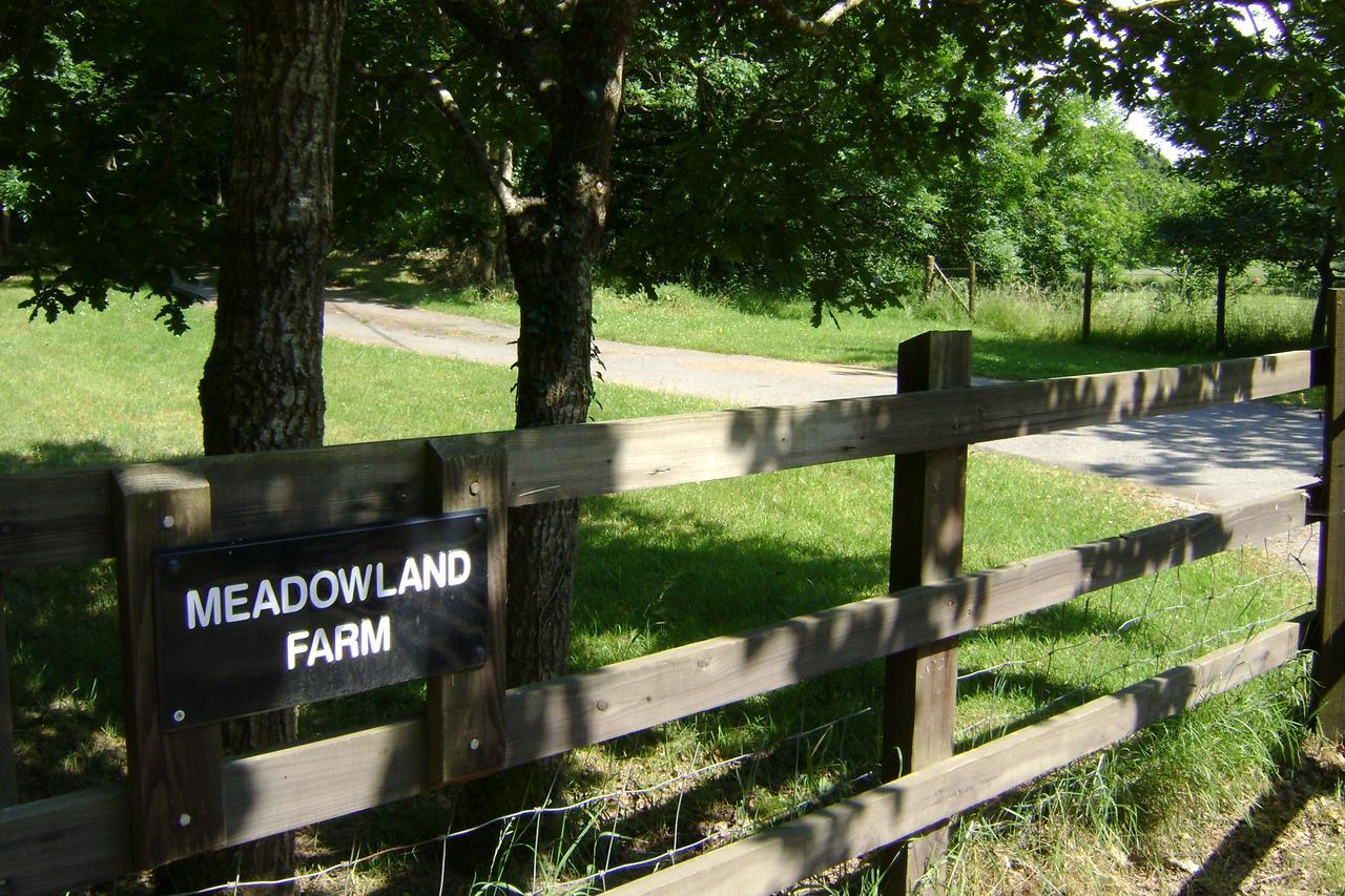 Meadowland Farm Bed & Breakfast Dolton Exterior photo